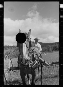 Black & White photograph of a farmer behind a plow and horse. A black hole has been punched through the photo blocking out the top of the horse's head.